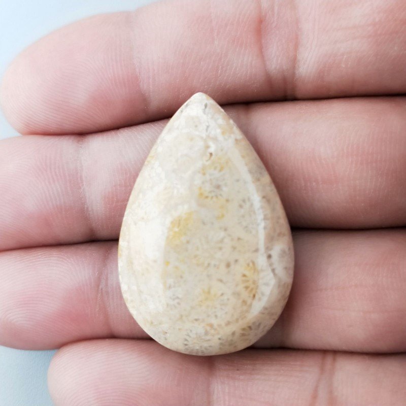 Corallo Fossile Naturale Forma Goccia Piatto Cabochon Liscio Fatto a Mano 23X35X7mm 8,72gm 1pz