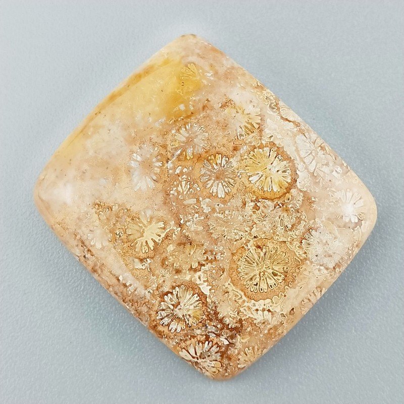 Corallo Fossile Naturale Forma Cuscino Piatto Cabochon Liscio Fatto a Mano 29X25X5mm 7,76gm 1pz