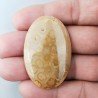 Corallo Fossile Naturale Forma Ovale Piatto Cabochon Liscio Fatto a Mano 44X28X5mm 10,65gm 1pz