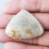 Corallo Fossile Naturale Forma Cuore Piatto Cabochon Liscio Fatto a Mano 30X38X5mm 9,22gm 1pz