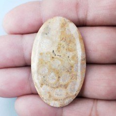 Corallo Fossile Naturale Forma Ovale Piatto Cabochon Liscio Fatto a Mano 41X25X3mm 6,31gm 1pz