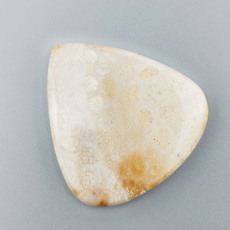Corallo Fossile Naturale Forma Cuore Piatto Cabochon Liscio Fatto a Mano 43X40mm 13,82gm 1pz