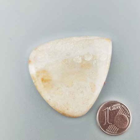 Corallo Fossile Naturale Forma Cuore Piatto Cabochon Liscio Fatto a Mano 43X40mm 13,82gm 1pz