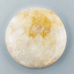 Corallo Fossile Naturale Forma Tondo Piatto Cabochon Liscio Fatto a Mano 36mm 14,74gm 1pz