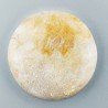 Corallo Fossile Naturale Forma Tondo Piatto Cabochon Liscio Fatto a Mano 36mm 14,74gm 1pz