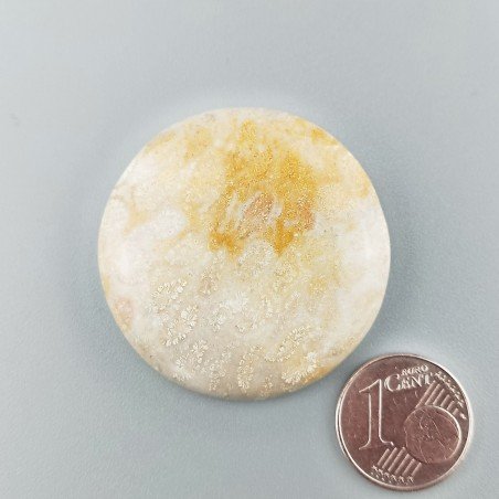 Corallo Fossile Naturale Forma Tondo Piatto Cabochon Liscio Fatto a Mano 36mm 14,74gm 1pz