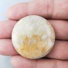 Corallo Fossile Naturale Forma Tondo Piatto Cabochon Liscio Fatto a Mano 36mm 14,74gm 1pz