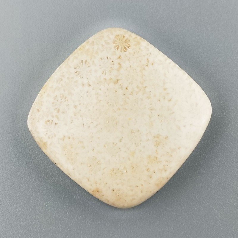 Corallo Fossile Naturale Forma Cuscino Piatto Cabochon Liscio Fatto a Mano 28X28mm 9,10gm 1pz Corallo Fossile Naturale Forma Cuscino Piatto Cabochon Liscio Fatto a Mano 28X28mm 9,10gm 1pz