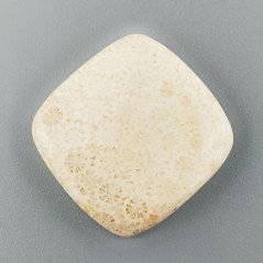 Corallo Fossile Naturale Forma Cuscino Piatto Cabochon Liscio Fatto a Mano 28X28mm 9,10gm 1pz