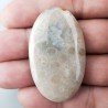 Corallo Fossile Naturale Forma Ovale Piatto Cabochon Liscio Fatto a Mano 46X27mm 14,19gm 1pz