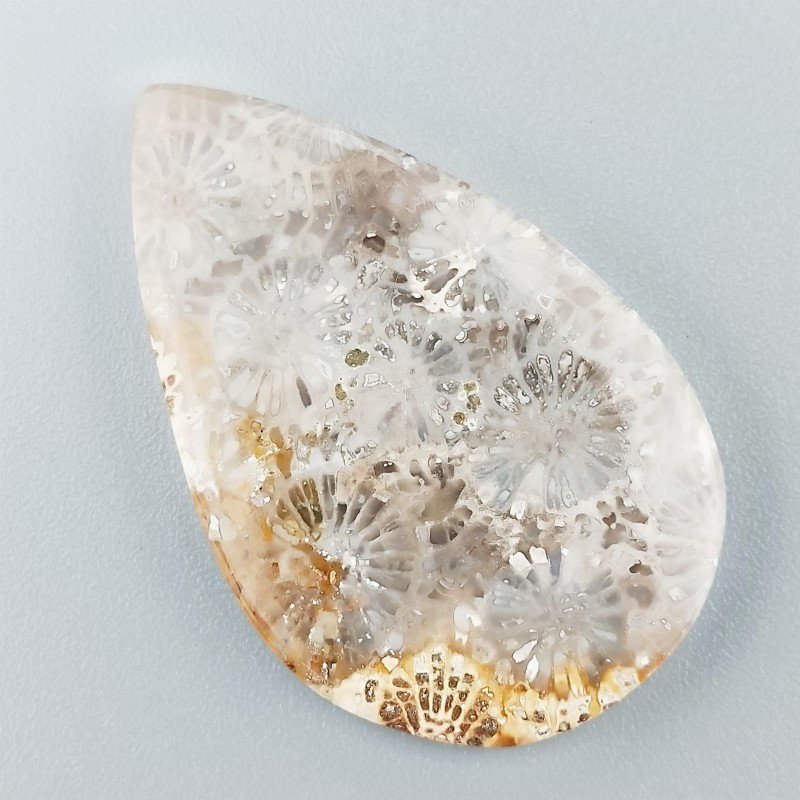 Corallo Fossile Naturale Forma Goccia Piatto Cabochon Liscio Fatto a Mano 40X25X4mm 7,18gm 1pz