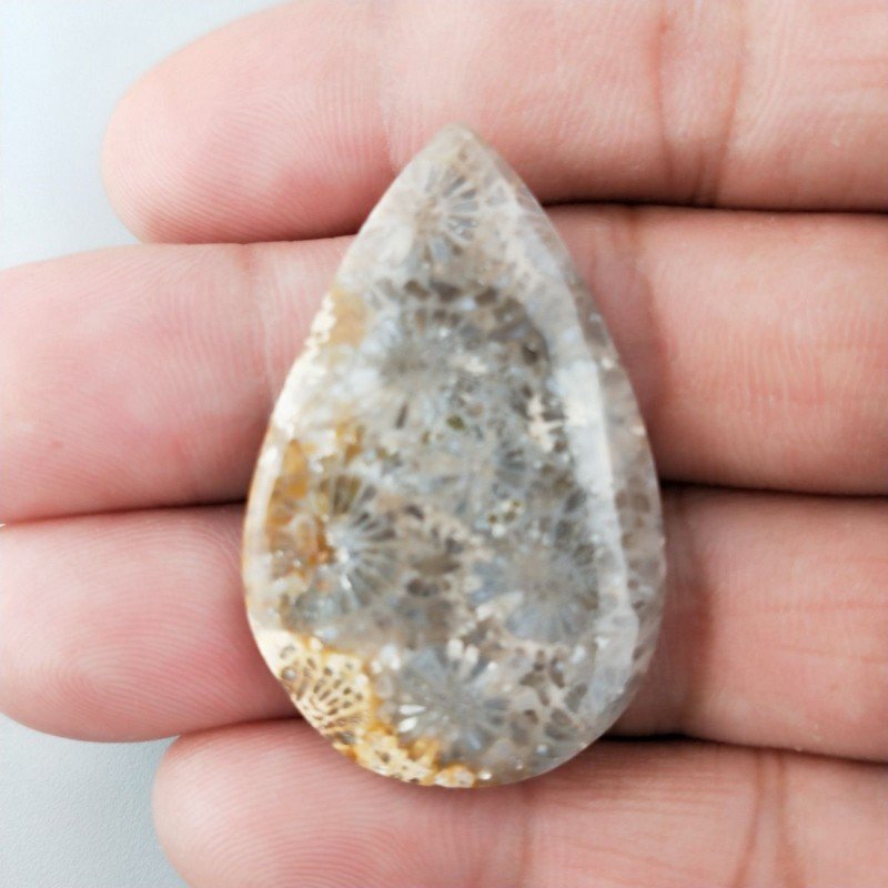 Corallo Fossile Naturale Forma Goccia Piatto Cabochon Liscio Fatto a Mano 40X25X4mm 7,18gm 1pz
