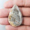 Corallo Fossile Naturale Forma Goccia Piatto Cabochon Liscio Fatto a Mano 40X25X4mm 7,18gm 1pz