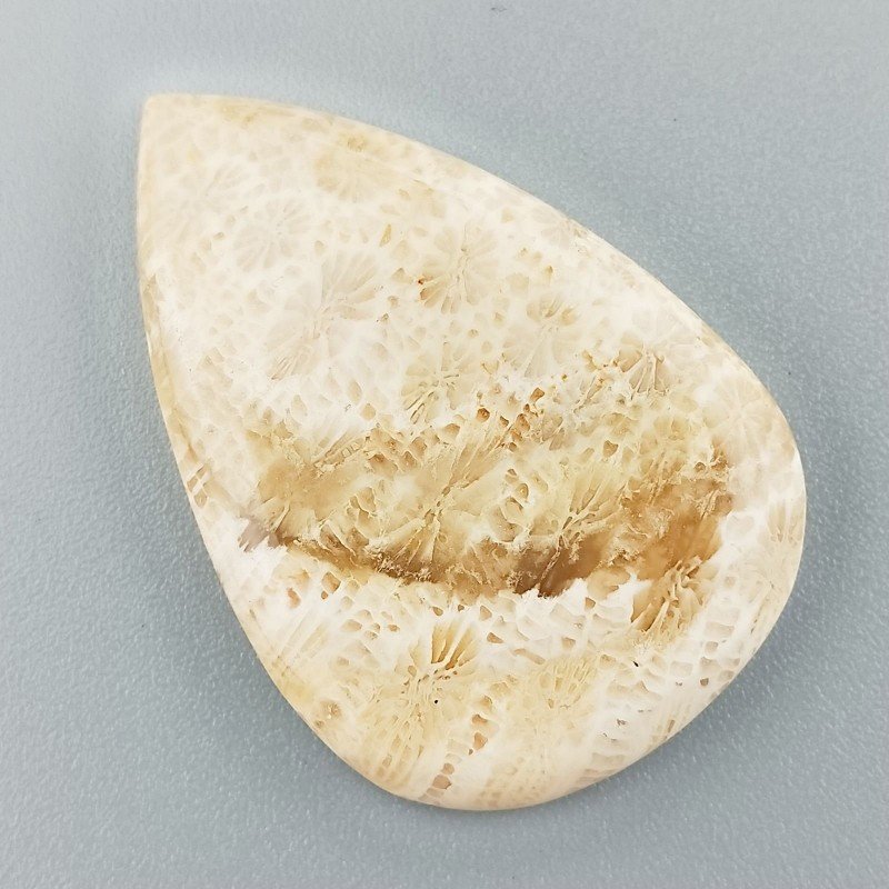 Corallo Fossile Naturale Forma Goccia Piatto Cabochon Liscio Fatto a Mano 36X25X4mm 6,25gm 1pz