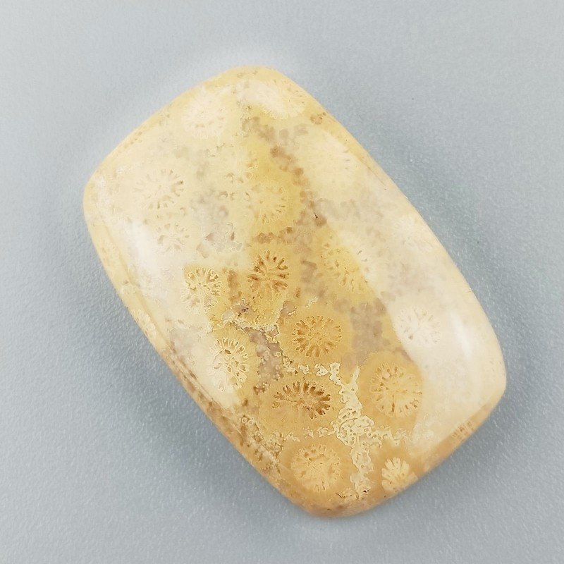 Corallo Fossile Naturale Forma Cuscino Piatto Cabochon Liscio Fatto a Mano 34X22X6mm 9,63gm 1pz