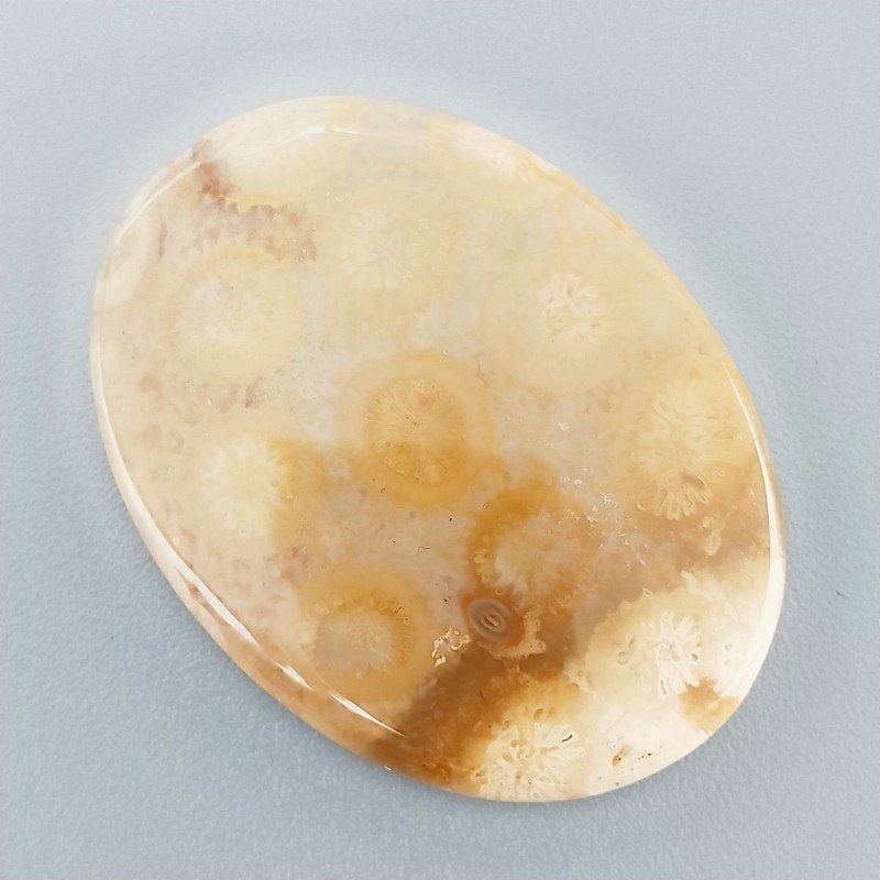 Corallo Fossile Naturale Forma Ovale Piatto Cabochon Liscio Fatto a Mano 31X23X4mm 5,88gm 1pz