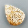 Corallo Fossile Naturale Forma Goccia Piatto Cabochon Liscio Fatto a Mano 33X24X6mm 8,36gm 1pz