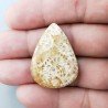 Corallo Fossile Naturale Forma Goccia Piatto Cabochon Liscio Fatto a Mano 33X24X6mm 8,36gm 1pz
