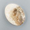 Corallo Fossile Naturale Forma Ovale Piatto Cabochon Liscio Fatto a Mano 37X28X7mm 12,61gm 1pz