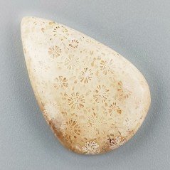 Corallo Fossile Naturale Forma Goccia Piatto Cabochon Liscio Fatto a Mano 30X24mm 6,23gm 1pz