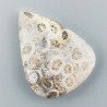 Corallo Fossile Naturale Forma Goccia Piatto Cabochon Liscio Fatto a Mano 32X24X5mm 6,34gm 1pz