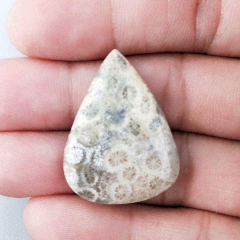 Corallo Fossile Naturale Forma Goccia Piatto Cabochon Liscio Fatto a Mano 32X24X5mm 6,34gm 1pz