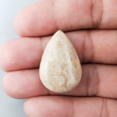 Corallo Fossile Naturale Forma Goccia Piatto Cabochon Liscio Fatto a Mano 29X19X8mm 6,83gm 1pz