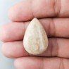 Corallo Fossile Naturale Forma Goccia Piatto Cabochon Liscio Fatto a Mano 29X19X8mm 6,83gm 1pz