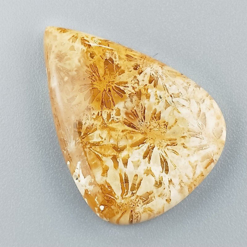 Corallo Fossile Naturale Forma Goccia Piatto Cabochon Liscio Fatto a Mano 29X21X4mm 4,51gm 1pz