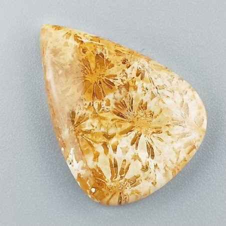 Corallo Fossile Naturale Forma Goccia Piatto Cabochon Liscio Fatto a Mano 29X21X4mm 4,51gm 1pz