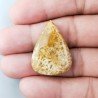 Corallo Fossile Naturale Forma Goccia Piatto Cabochon Liscio Fatto a Mano 29X21X4mm 4,51gm 1pz