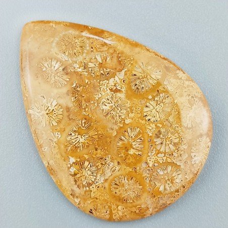 Corallo Fossile Naturale Forma Goccia Piatto Cabochon Liscio Fatto a Mano 37X27X3mm 5,42gm 1pz