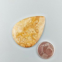 Corallo Fossile Naturale Forma Goccia Piatto Cabochon Liscio Fatto a Mano 37X27X3mm 5,42gm 1pz