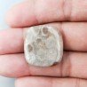 Corallo Fossile Naturale Forma Cuscino Piatto Cabochon Liscio Fatto a Mano 24X23mm 5,72gm 1pz