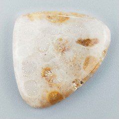 Corallo Fossile Naturale Forma Cuore Piatto Cabochon Liscio Fatto a Mano 29X33X4mm 7,41gm 1pz