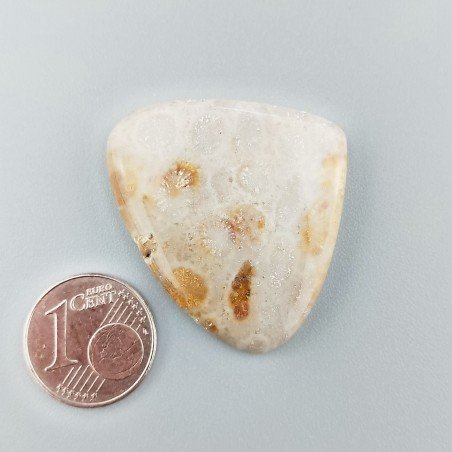 Corallo Fossile Naturale Forma Cuore Piatto Cabochon Liscio Fatto a Mano 29X33X4mm 7,41gm 1pz
