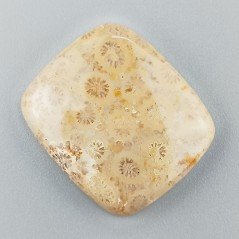 Corallo Fossile Naturale Forma Cuscino Piatto Cabochon Liscio Fatto a Mano 28X24X5mm 7,00gm 1pz