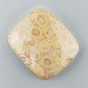 Corallo Fossile Naturale Forma Cuscino Piatto Cabochon Liscio Fatto a Mano 28X24X5mm 7,00gm 1pz