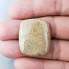 Corallo Fossile Naturale Forma Cuscino Piatto Cabochon Liscio Fatto a Mano 28X24X5mm 7,00gm 1pz