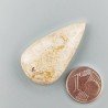 Corallo Fossile Naturale Forma Goccia Piatto Cabochon Liscio Fatto a Mano 35X19X7mm 7,11gm 1pz