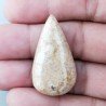 Corallo Fossile Naturale Forma Goccia Piatto Cabochon Liscio Fatto a Mano 35X19X7mm 7,11gm 1pz