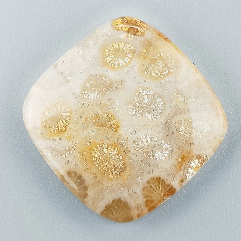 Corallo Fossile Naturale Forma Cuscino Piatto Cabochon Liscio Fatto a Mano 24X24mm 5,58gm 1pz