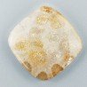 Corallo Fossile Naturale Forma Cuscino Piatto Cabochon Liscio Fatto a Mano 24X24mm 5,58gm 1pz