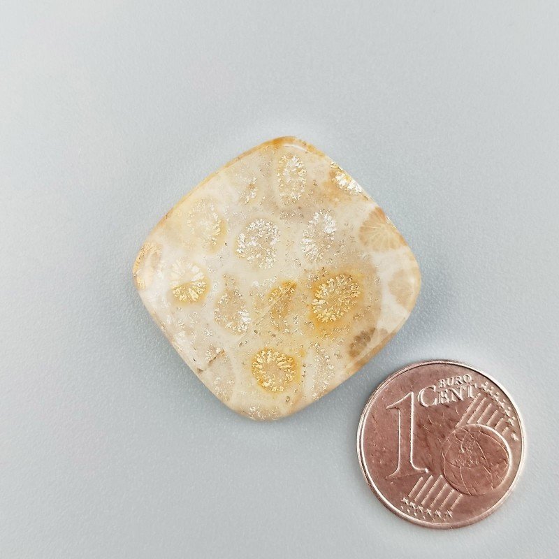 Corallo Fossile Naturale Forma Cuscino Piatto Cabochon Liscio Fatto a Mano 24X24mm 5,58gm 1pz