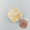 Corallo Fossile Naturale Forma Cuscino Piatto Cabochon Liscio Fatto a Mano 24X24mm 5,58gm 1pz