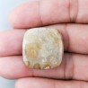 Corallo Fossile Naturale Forma Cuscino Piatto Cabochon Liscio Fatto a Mano 24X24mm 5,58gm 1pz