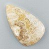 Corallo Fossile Naturale Forma Goccia Piatto Cabochon Liscio Fatto a Mano 35X21X4mm 4,94gm 1pz
