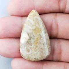 Corallo Fossile Naturale Forma Goccia Piatto Cabochon Liscio Fatto a Mano 35X21X4mm 4,94gm 1pz Corallo Fossile Naturale Forma Goccia Piatto Cabochon Liscio Fatto a Mano 35X21X4mm 4,94gm 1pz