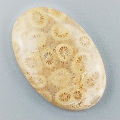 Corallo Fossile Naturale Forma Ovale Piatto Cabochon Liscio Fatto a Mano 35X23X5mm 7,10gm 1pz