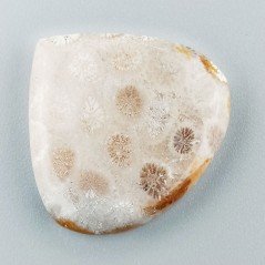 Corallo Fossile Naturale Forma Cuore Piatto Cabochon Liscio Fatto a Mano 30X29mm 7,74gm 1pz